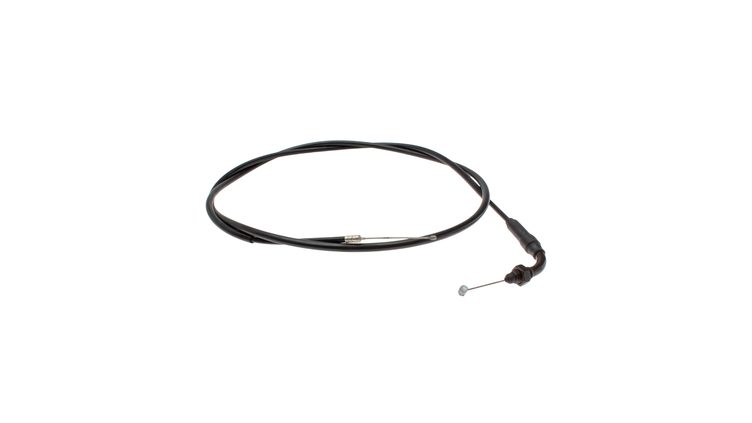 Kabler - Dr. Big & T-rex