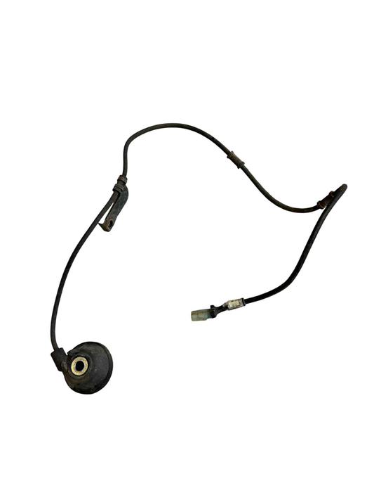 Speedometerkabel digital - Neos