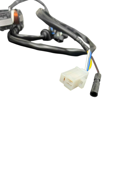 Stator - standard Peugeot