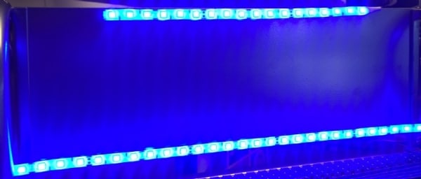 LED-bånd, 50cm (blå)